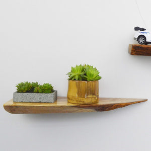 Transform Your Space with Our Solid Wood Wall Mounted Flower Display Shelf