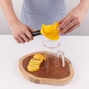 Transform Your Juicing Experience with Our Creative Kitchen Gadget Manual Juicer